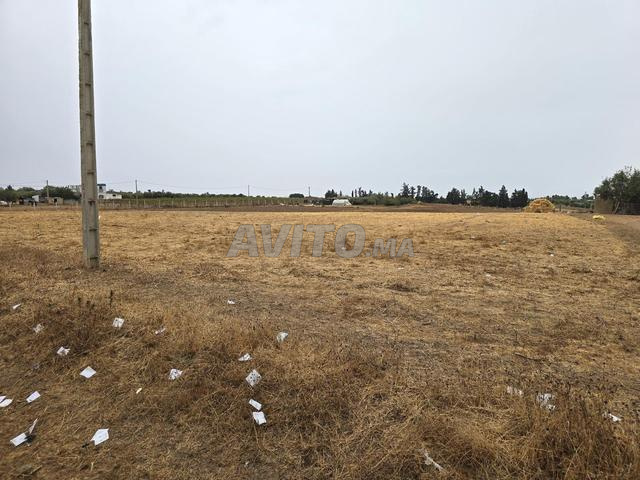 11000 sur route goudronnée - 2