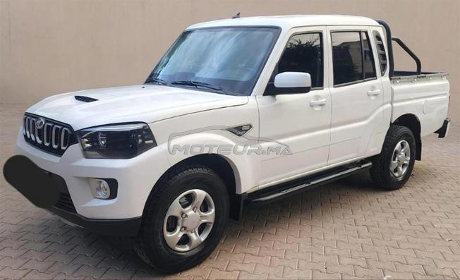 طانطان المغرب