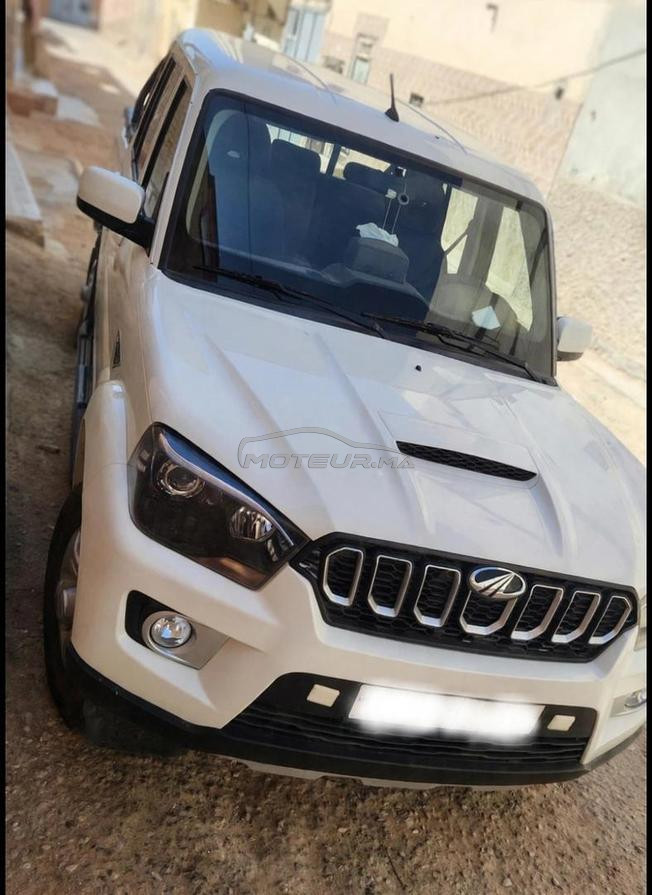 طانطان المغرب