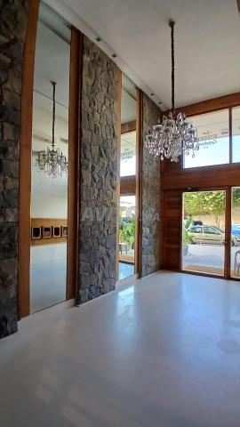 Magnifique appartement à louer à Racine - 2