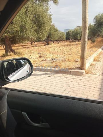 أرض بواجهتين - 2