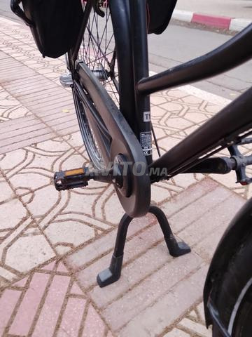 Vélo hollandais - 2