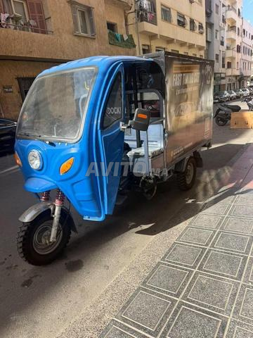 Tricycle - 2