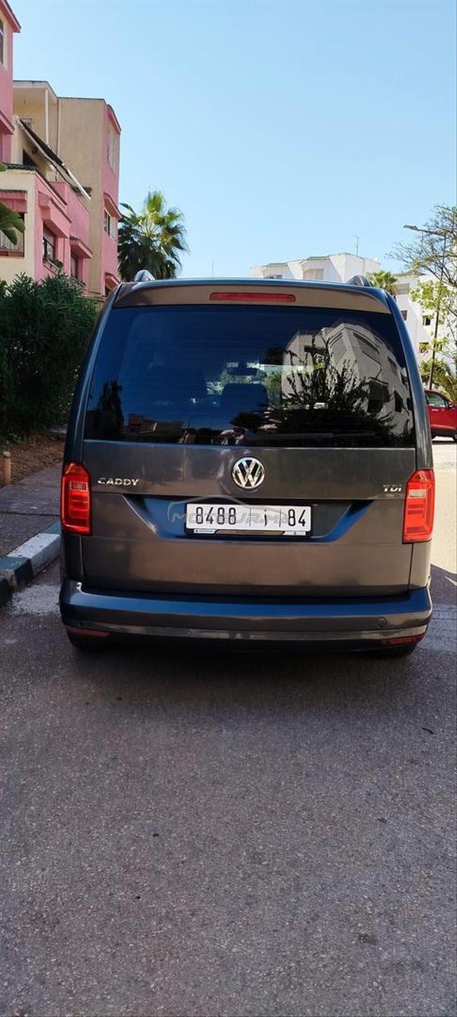 belle Volkswagen 