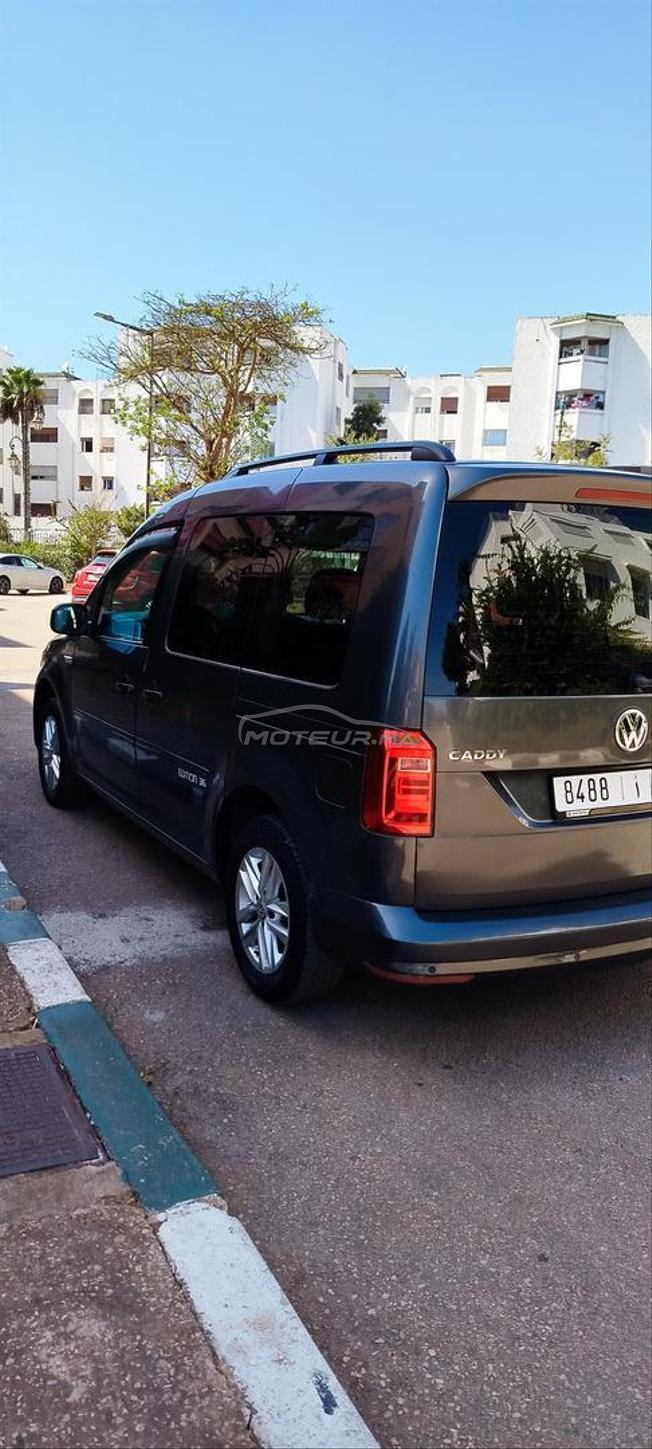 belle Volkswagen 