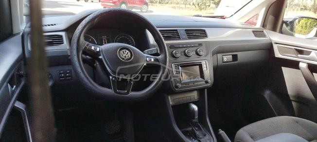 belle Volkswagen 