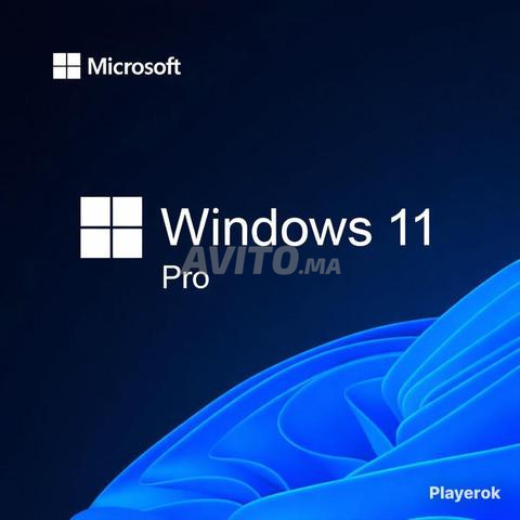 Windows 10 / 11 Pro