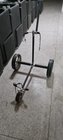 Chariot de golf carbone - 2