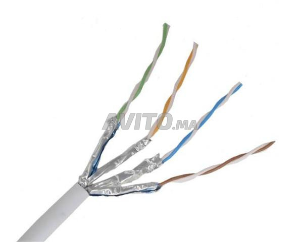 Câble Réseau UTP CAT6 Intérieur - 2