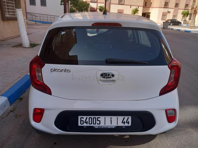 picanto ngia a oujda 