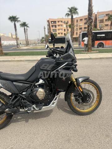 Voge800rally - 2