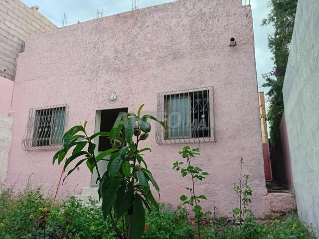 Maison 207m² Route Ourika 18km de Marrakech - 2
