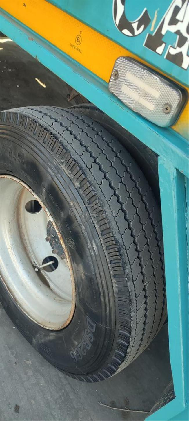 نمرة الواتساب فقط
