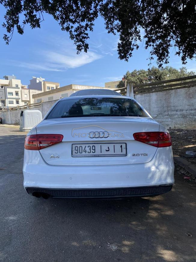 العرائش  شعبان