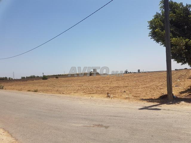 Terrain de 2,3 hectares à Tit Mellil Mediouna - 2