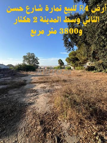 أرض R4 للبيع تمارة مركز الحسن الثاني - 2