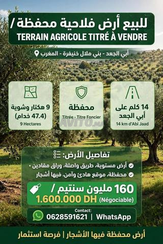 Terrain agricole 47.4 khadams titré Bejaad 160M