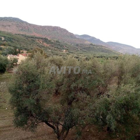 Villa route de Friata et Taghzirt 280 m² - 2