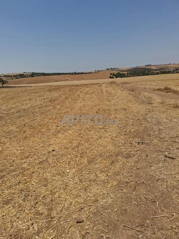 🔥 Terrain titré et plat proche de la route près de Sidi Bettach