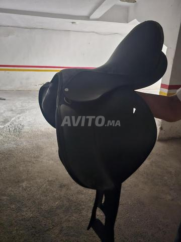 Selle mixte-obstacle (CSO) - 2