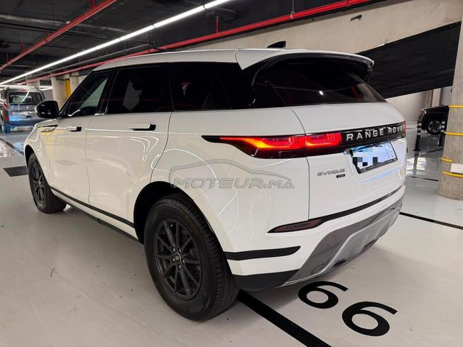 Range Rover Évoque “ BEBE VELAR “
