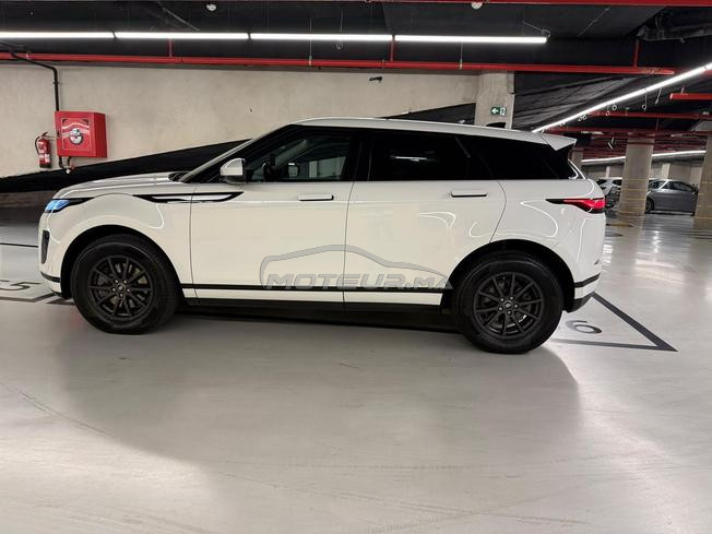 Range Rover Évoque “ BEBE VELAR “