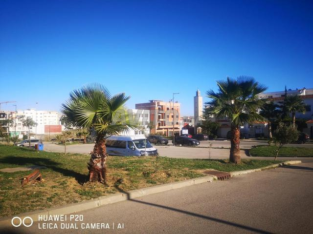 للبيع - أرض محفظة في كزناية طنجة - 2