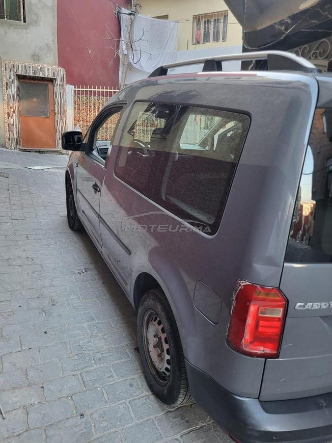 Caddy 2019