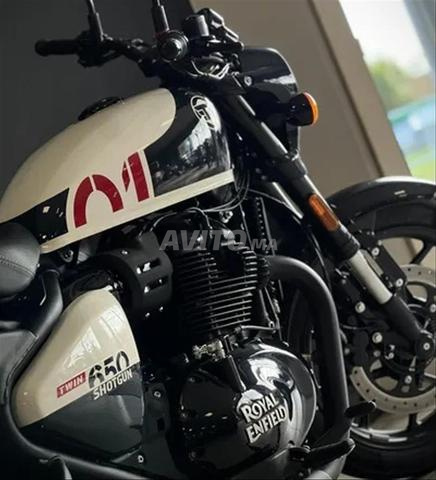 Royal Enfield Shotgun 650 2025 - 2
