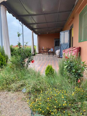 Ferme 8000m2 Sidi Abdellah Ghiat proche Marrakech - 2