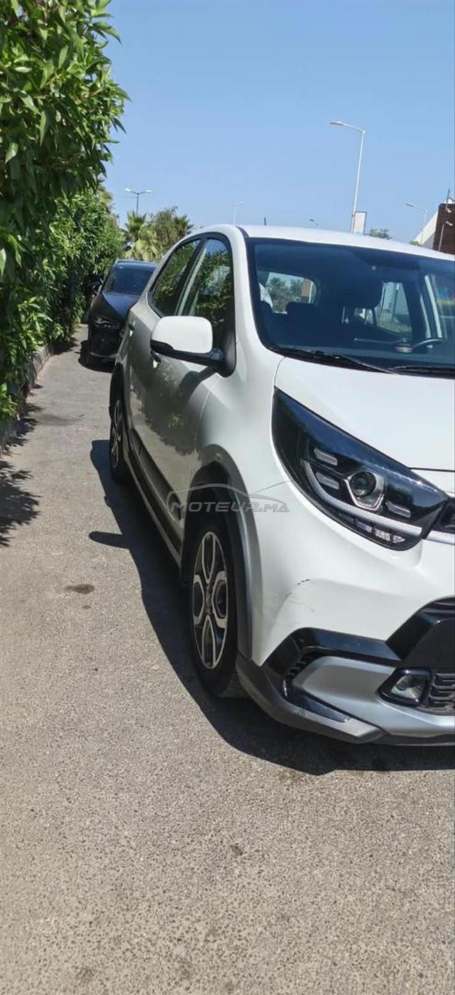 kia picanto xline 