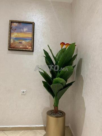 شقة للكراء - 2