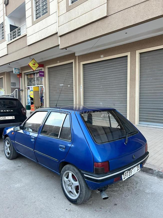 pegoute 205