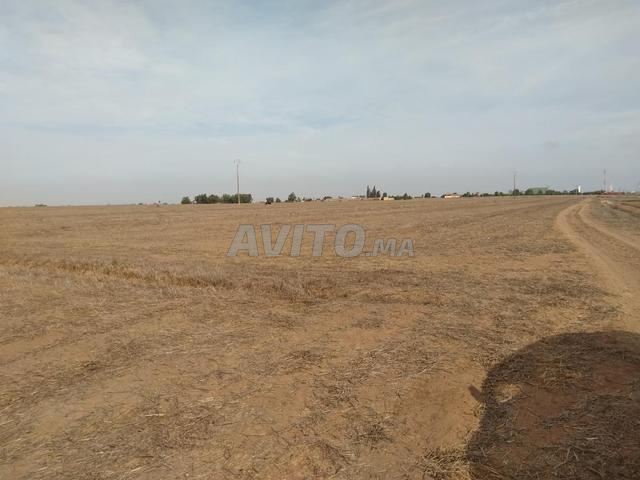 Terrain bir jdid - 2