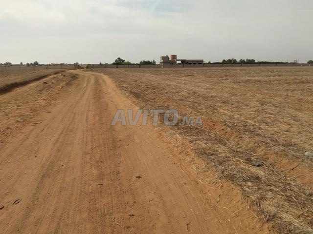 7 hectares - 2