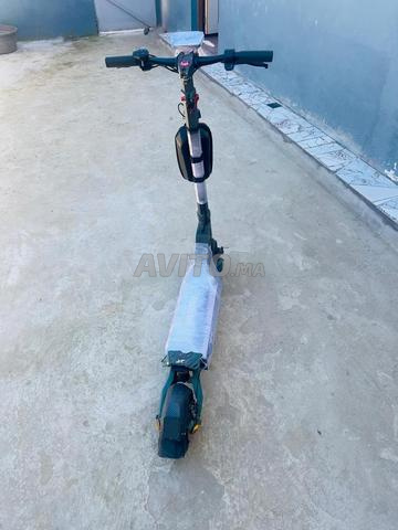 تانج مقاس 41 - 2