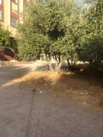 Terrain 100m2 titré Meknes à Vendre - 2