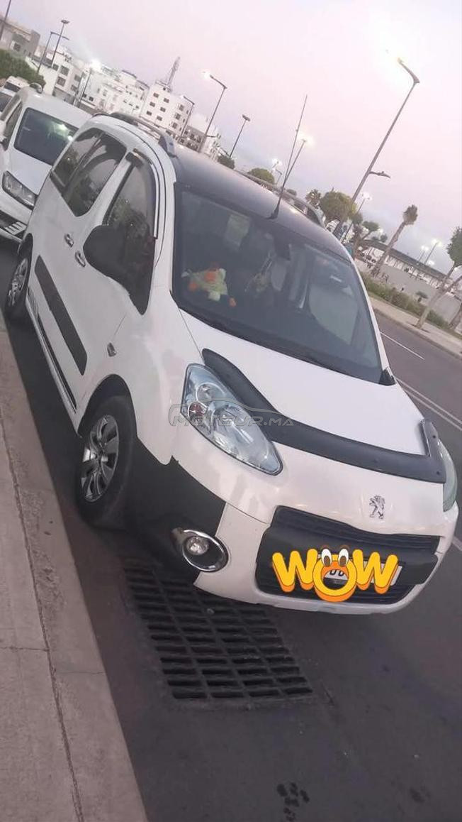 طنجة بن ديبان 