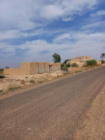 Terrain 960m2 à vendre - 2