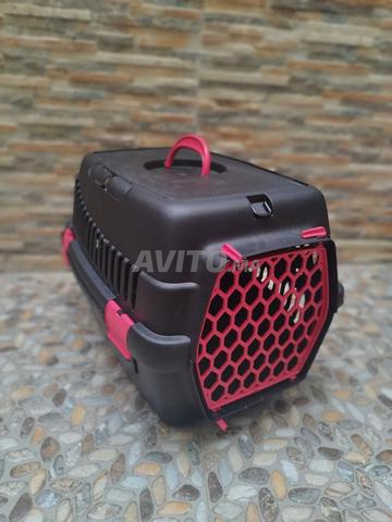 Pack pour chat - 2