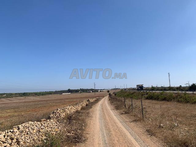 Terrain agricole à vendre 2 hectares près d'Azemmour - 2