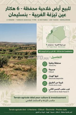 Benslimane Ain Tizgha 6 hectares à vendre. - 2