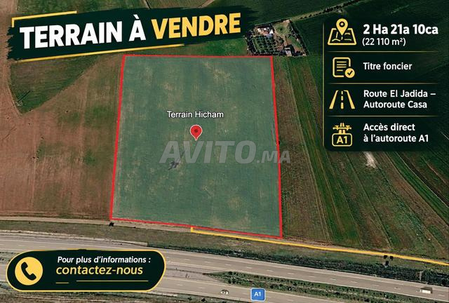 Terrain agricole à vendre de 2 hectares, près d'Azemmour - 2