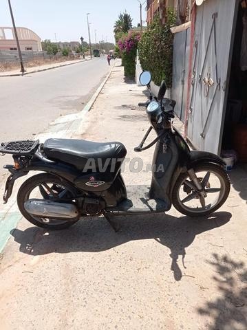 Motor Scarabeo - 2