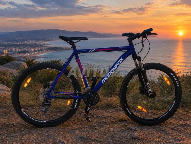 Vélo de montagne à vendre, authentique britannique