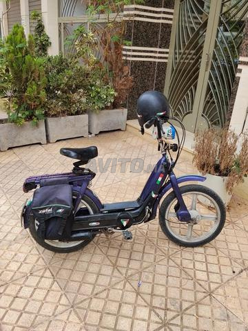 Piaggio Ciao - 2