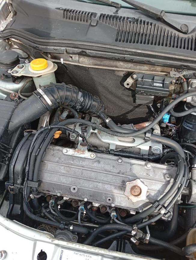 fiat palio