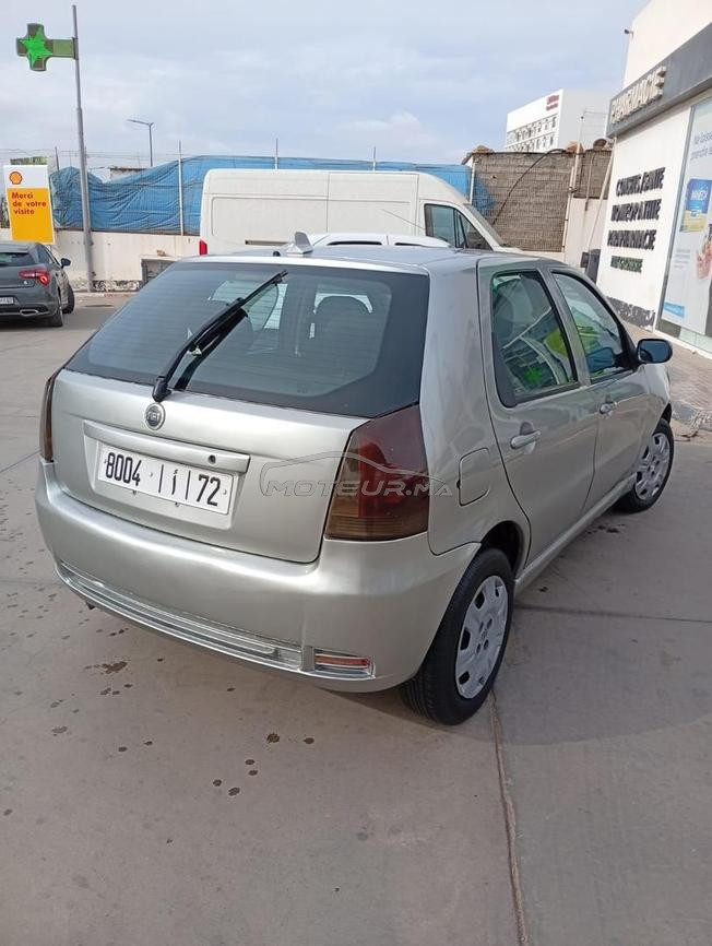 fiat palio
