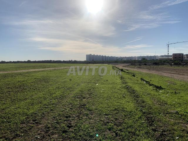 Terrain Mediouna 11 Hectares en Zone C3 - 2