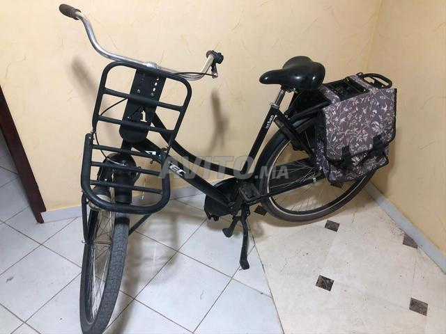 Vélo hollandais - 2